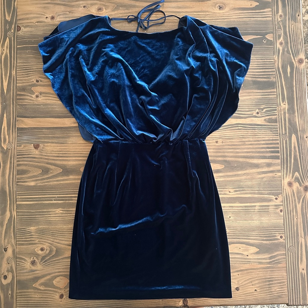 Elegant Blue Velvet Dress